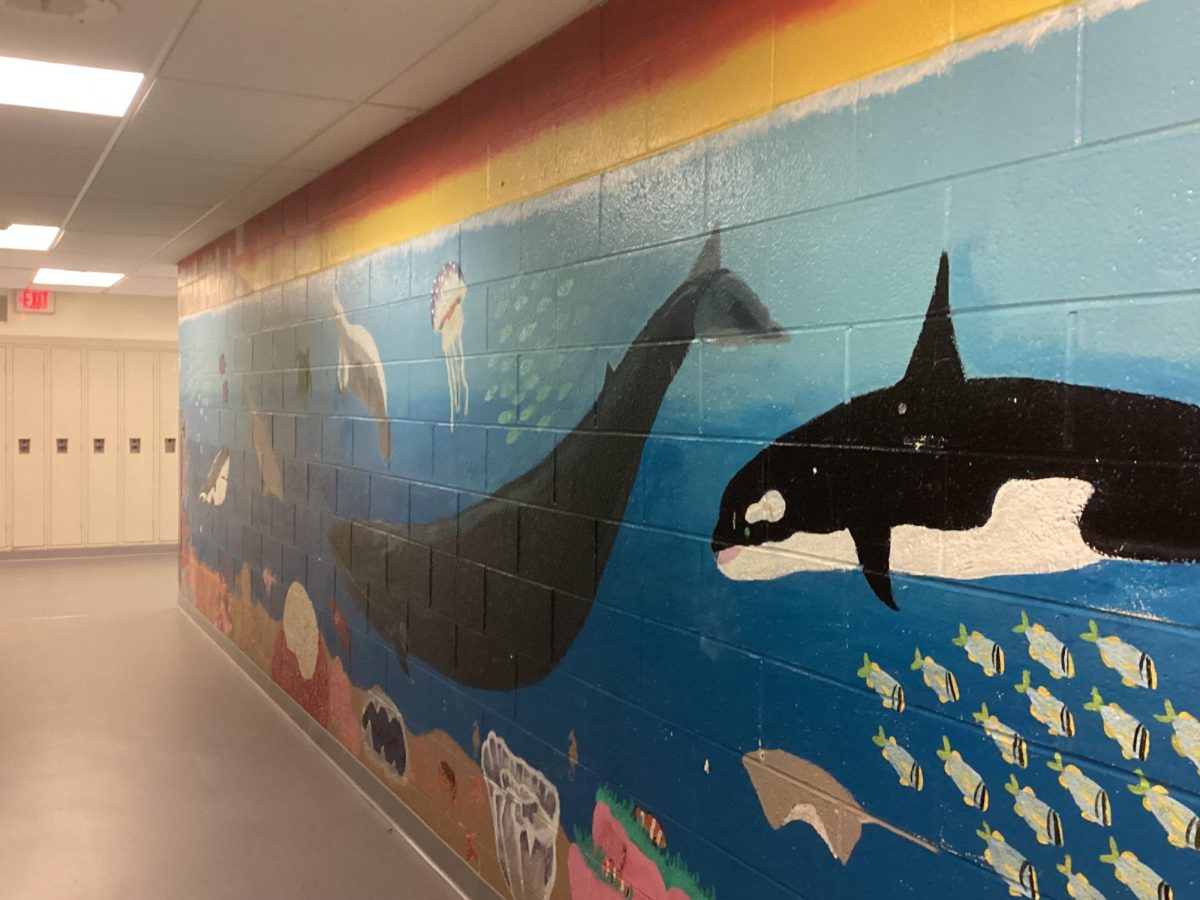 A mural of the ocean in the science hallway.