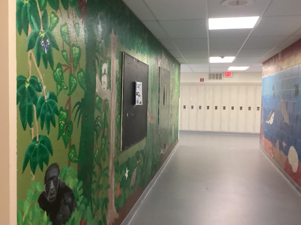 A mural of a rain forest in the science hallway.