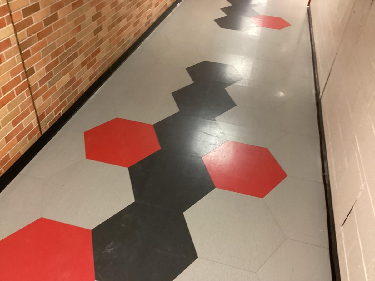 Graphic Design/Engineering hallway Floor Design at NPHS