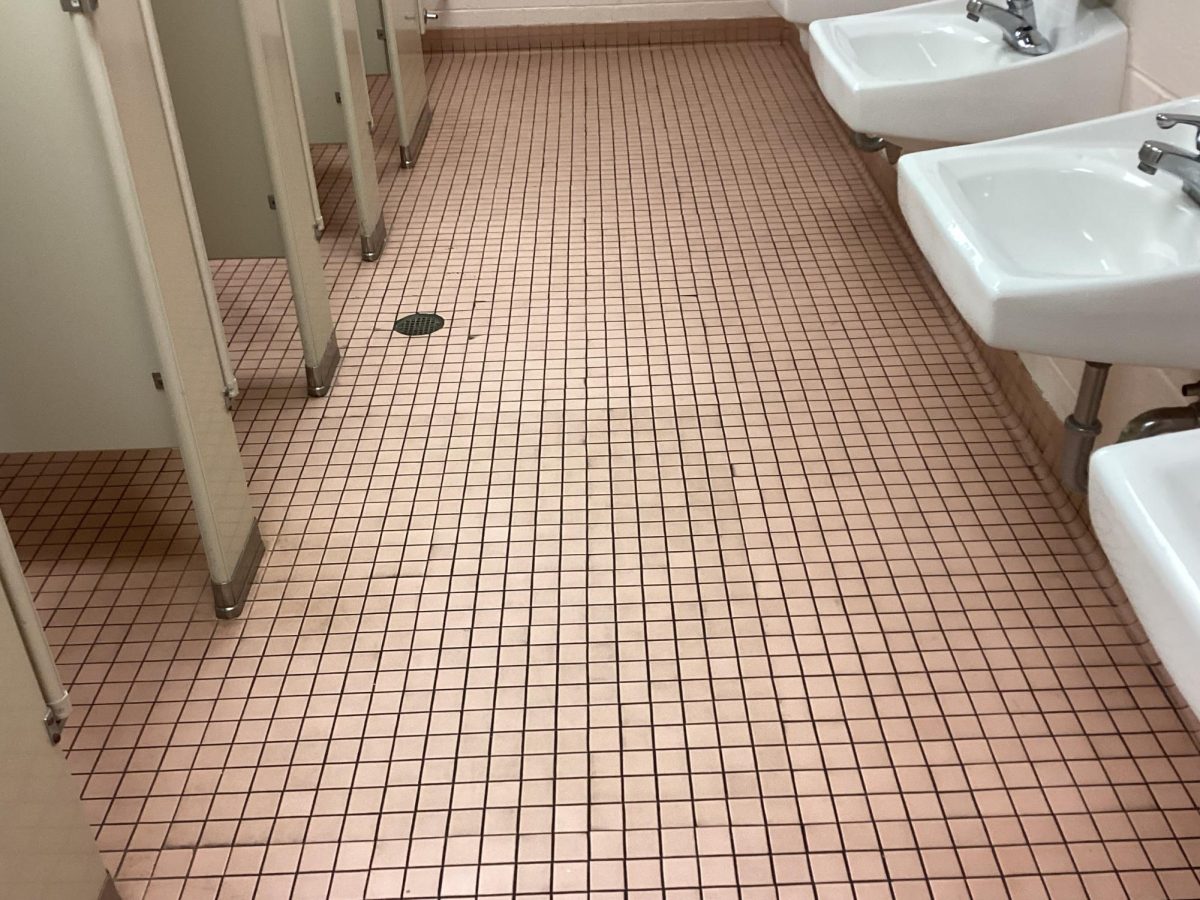 Pink tiled Flooring of the bathroom in the 400s Hallway at NPHS