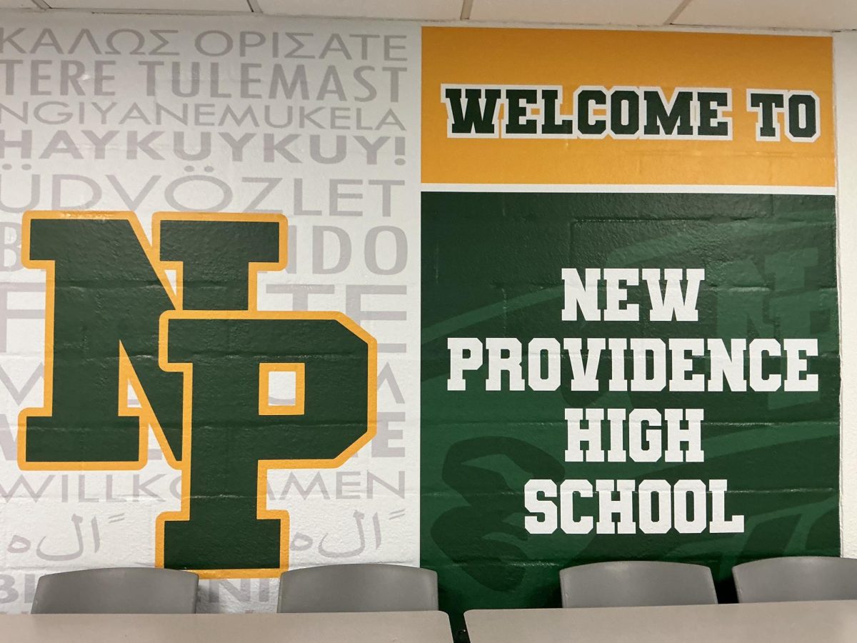 NP Pioneer wall mural